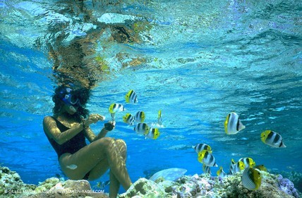 Snorkeling - Diving