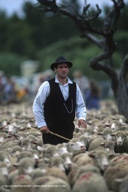 Saint Rémy de Provence (FRA,13) - Fête de la Transhumance