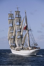 Sailing, Tall ships