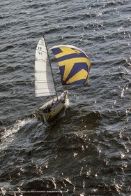 Image15.jpg