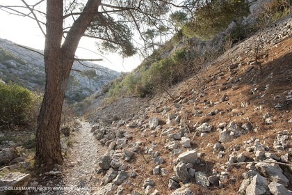 20 03 2009 - Marseille (FRA, 13) - Les Calanques - Vallon de l'Oule