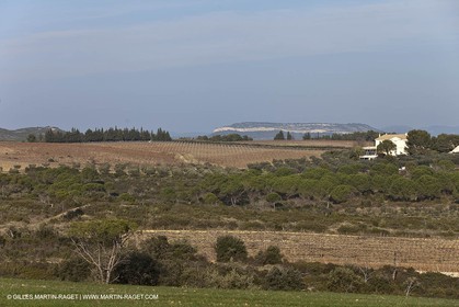 Saint Drézéry (FRA, 34), Domaine de Puech Haut