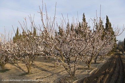 16 02 2008 - Les Baux de Provence (FRA, 13) - Alpilles hills landscapes