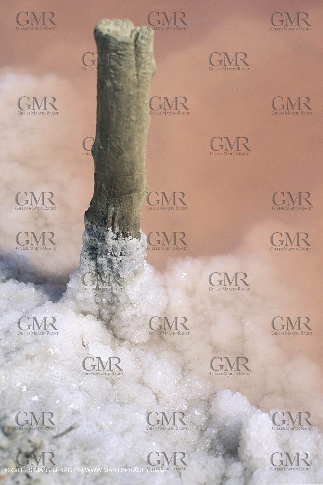 France, Provence, Marais salants, salted marshes, culture du sel, salt making, salt harvest