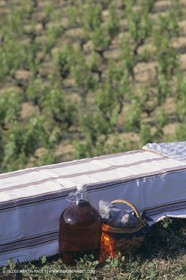 Vin, Vigne , Vendanges, vignification, vignobles, France, Provence, Côte du Rhône, Rosé