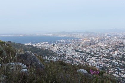 10 11 2014, Capetown (ZAF), Volvo Ocean Race 2014-15, Team Alvimedica