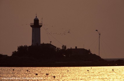 Lighthouse