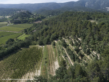 22 06 2018, Ménerbes (FRA,84), Domaine de la Citadelle