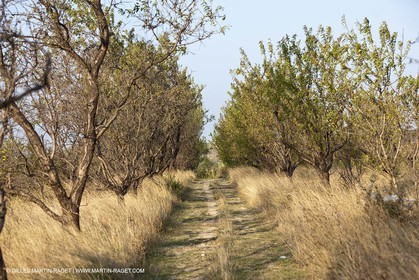 25 09 2009 - Sernhac (FRA,30)