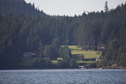 01 09 2008 - San Juan Islands (WA, USA) - Killer Whales