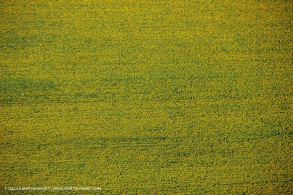 Paysages des Alpilles