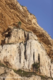 08 09 2009 - Marseille (FRA, 13) - Les Calanques - Cape Canaille and Soubeyrannes cliffs