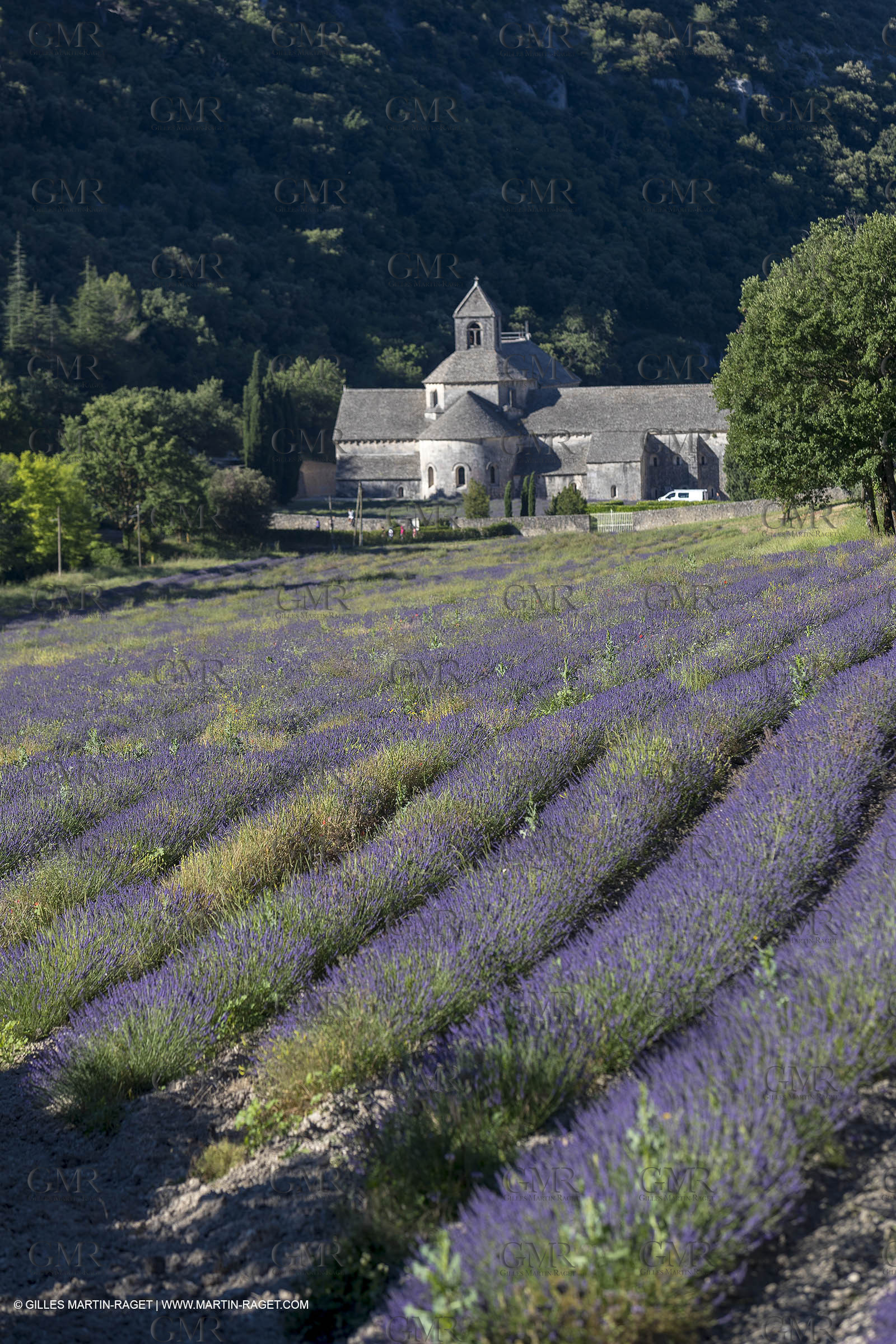 25 06 2018, Gordes (FRA,84), Abbaye de Sénanque