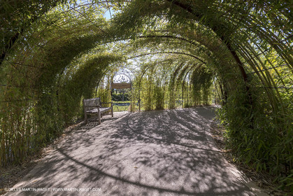 22 06 2018, Saint-Saturnin les Apts (FRA,84), Domaine des Andéols
