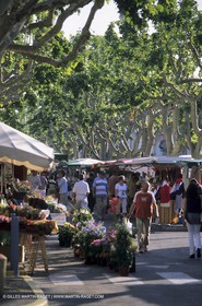 Marché du samedi à Saint Gilles (30)
