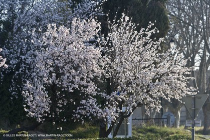 09 02 2008 - Les Baux de Provence (FRA, 13) - Alpilles hills landscapes