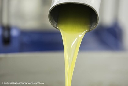 22 11 2012 - Fontvieille (FRA,13) - Olive oil making at Bedarrides olive oil mill