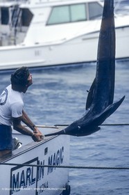 Water sports, Sportfishing, pêche au gros
