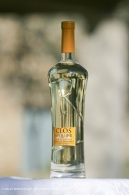28 02 2008 - Cabasse (FRA, 83) - Vins Domaine du Lac