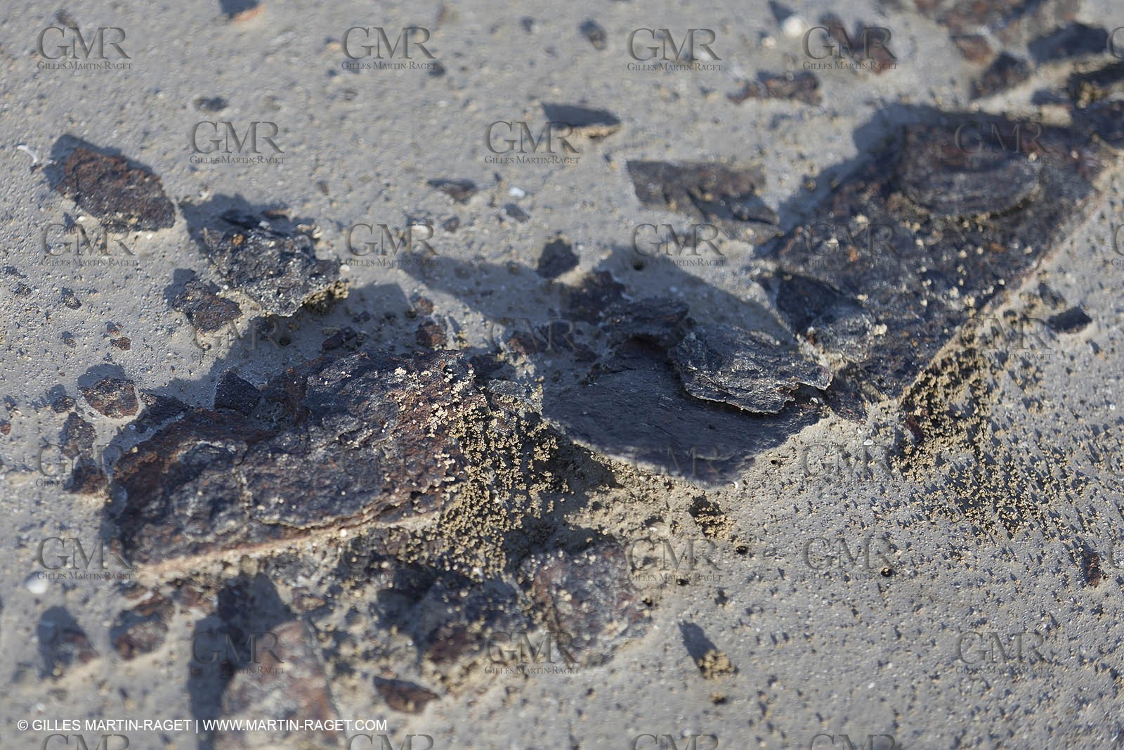 23 10 2014, Salins de Giraud (FRA,13), Salt & Speed 2014, Charlotte Consorti