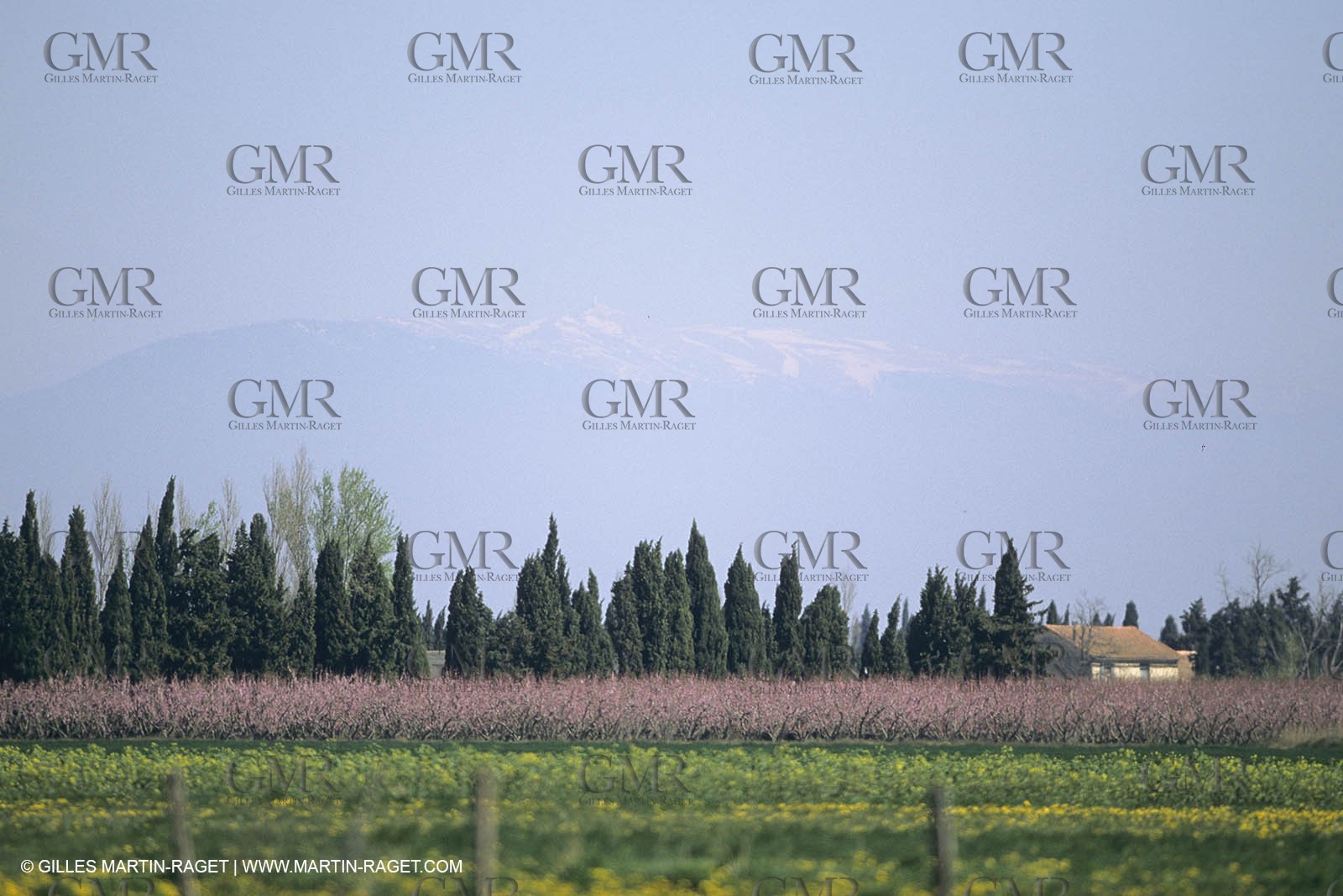 France, Provence, Mont Ventoux