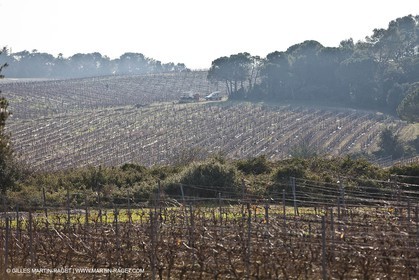 Saint Drézéry (FRA, 34), Domaine de Puech Haut