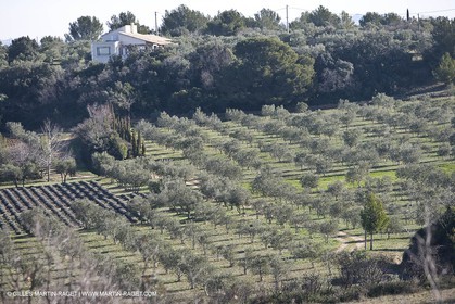 05 02 2008 - Arles (FRA, 13) - Paysages du Pays d'Arles