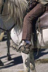 France, Provence, Camargue, Gardians de Camargue, métier, fêtes, élevage, tri