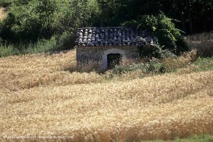 France, Provence, Paysages du Luberon, Luberon Landscapes