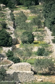Paysages de Nîmes Métropole (FRA,30) - La Garrigue