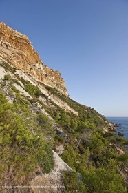 08 09 2009 - Marseille (FRA, 13) - Les Calanques - Cap Canaille et falaises Soubeyrannes