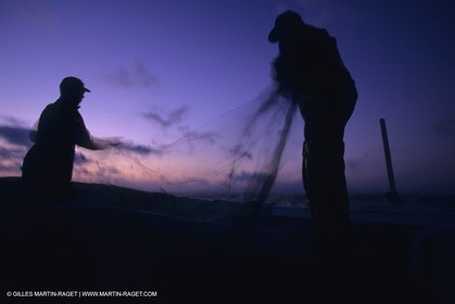 France, Provence, Pêche, barques, pointus, pêheurs, poissons