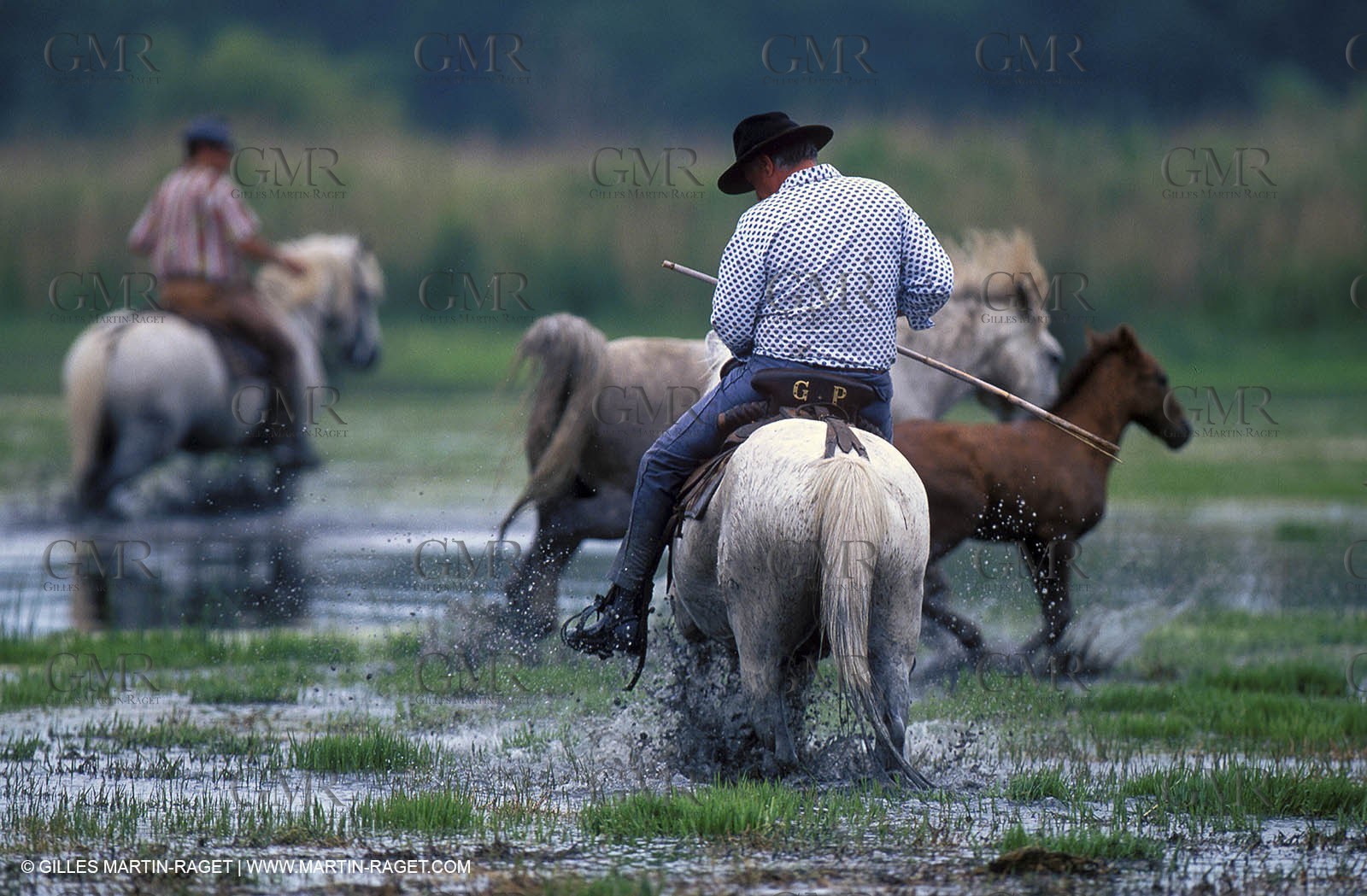 Arles - Camargue gardians (cow boys) at work