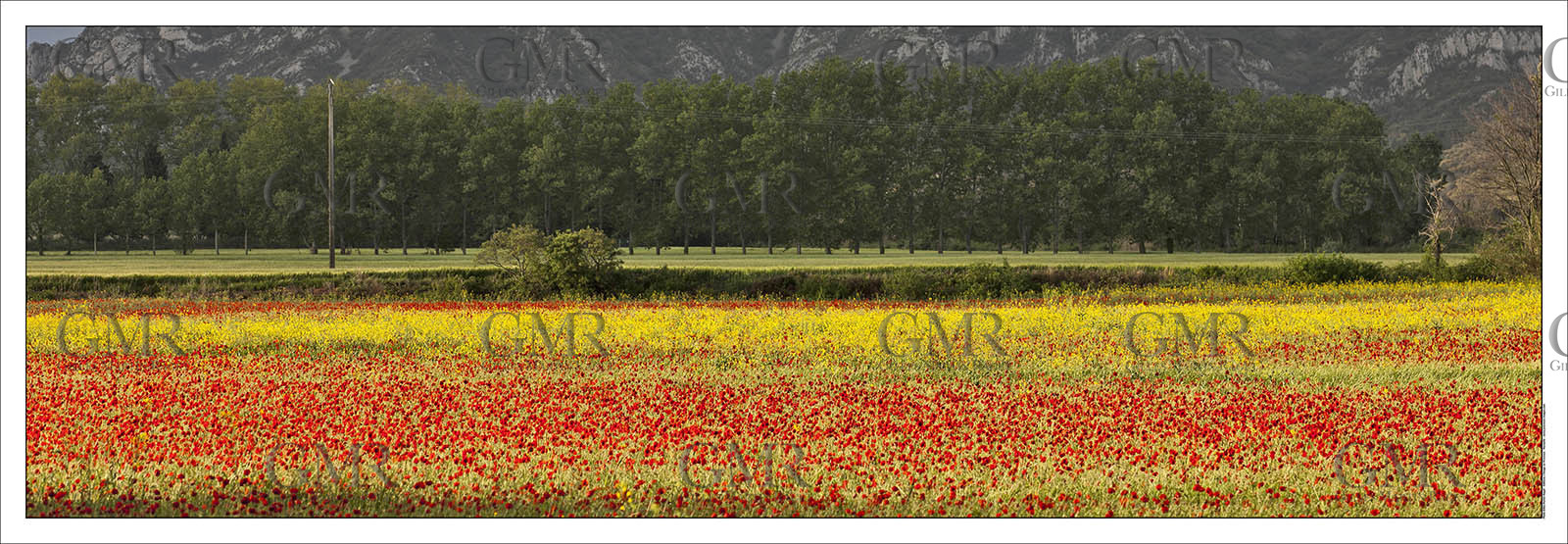 Product: in house made quality print on 8 ultrachome colors Epson ink Jet printer.Available sizes: . 20x 60 cm. 33 x 95 cm. 52 x 150 cmAvailable papers: . Standard 250 gr glossy paper print, black streak, white margin, no signature. Top quality glossy 290 gr. paper, black streak, white margin, checked and signed by the author. Fine Art print (signed, numbered, stamped, registered) on demand. Other supports (Canvas, Acrylic, Metal) on demandPackaging: cylindric reinforced tubeShipping options: regular mail or Shipping companyClick on the basket icon to select your options and start the online ordering process