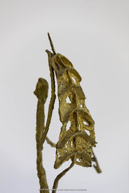 05 08 2019, Marseille (FRA,13), Oeuvre de Germaine Richier, Don Quichotte à l'aile de moulin, 1949, Bronze naturel nettoyé, Epreuve d'exposition, Fondeur L. Thinot, Paris, 56,5 x 31 x 29 cm, Collection famille Germaine Richier