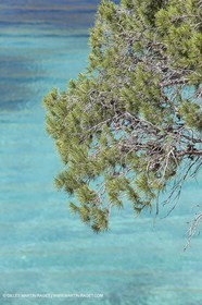 27 05 2009 - Marseille (FRA, 13) - Les Calanques - Sormiou