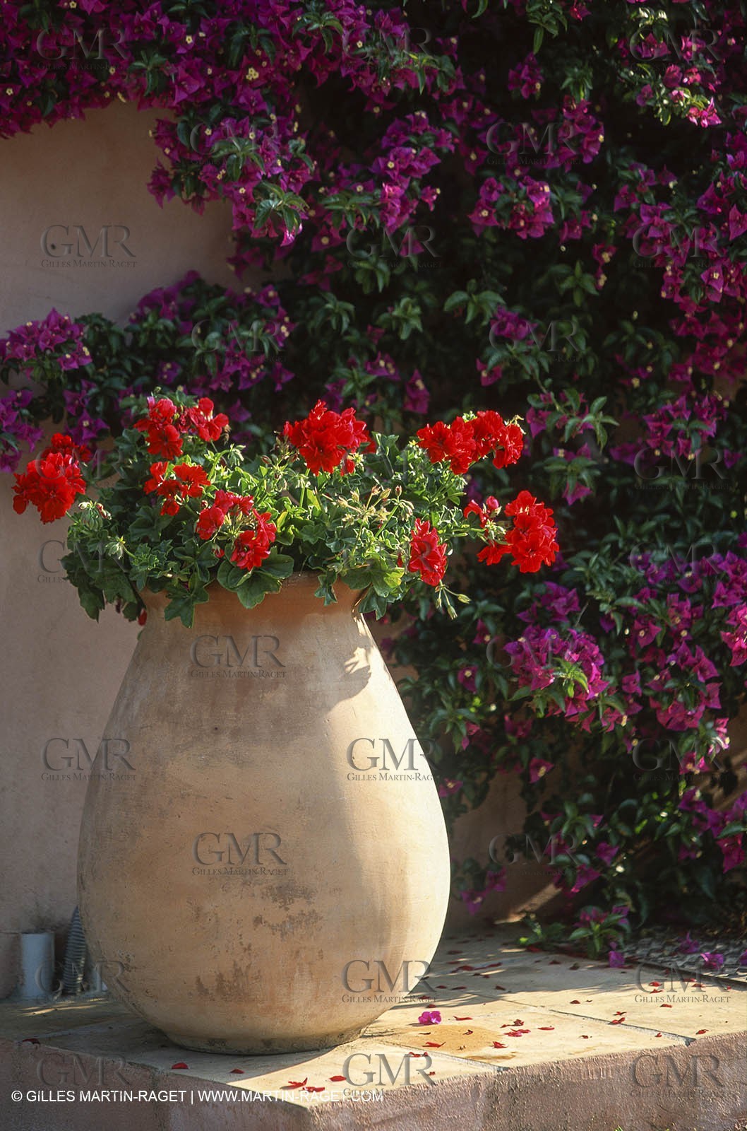 Var, 'Hyères islands, (FRA, 83), Porquerolles island