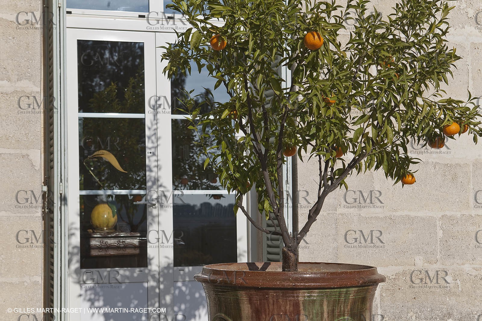 Saint Drézéry (FRA, 34), Domaine de Puech Haut