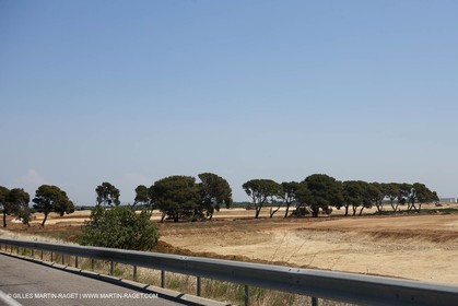 France, Provence, Traditions, Les Saintes Maries de la mer - Pélerinage gitan