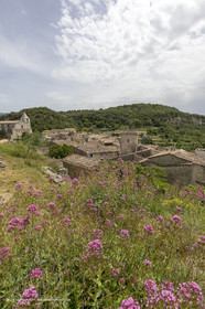 10 06 2018, Saignon (FRA,84)