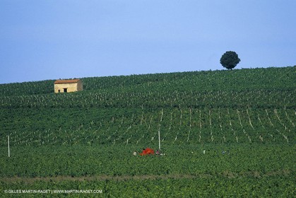 costieres0023