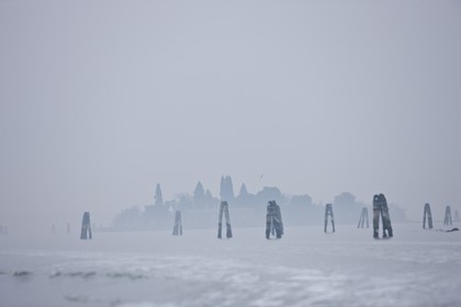 VNZFEBD1_0209.jpg
