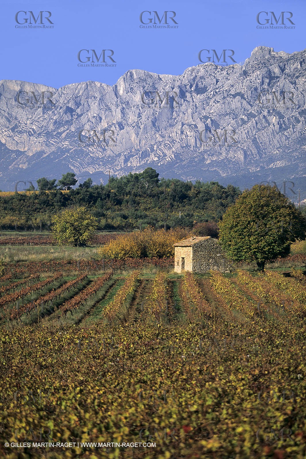 Aix en Provence area - Sainte Victoire mountain