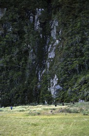 Patagonia