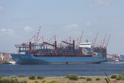 12 11 2014, Capetown (ZAF), Volvo Ocean Race 2014-15, Team Alvimedica goes back training