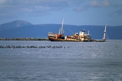 GMR_000205.jpg