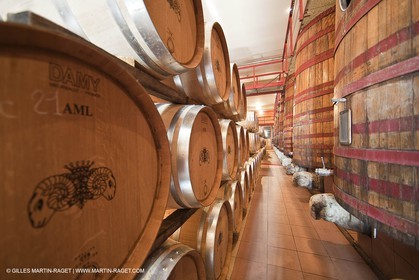 Saint Drézéry (FRA, 34), Domaine de Puech Haut