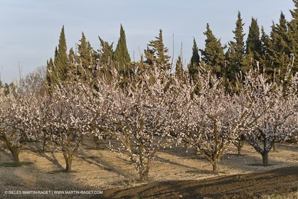 16 02 2008 - Les Baux de Provence (FRA, 13) - Alpilles hills landscapes