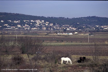 Caveirac
