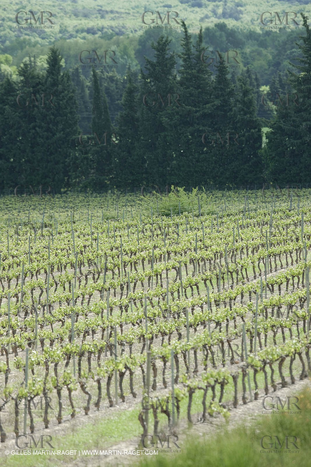 28 04 2009 - Saint Chaptes (FRA, 30) - Atlas Nîmes Métropole -  2009 campaign